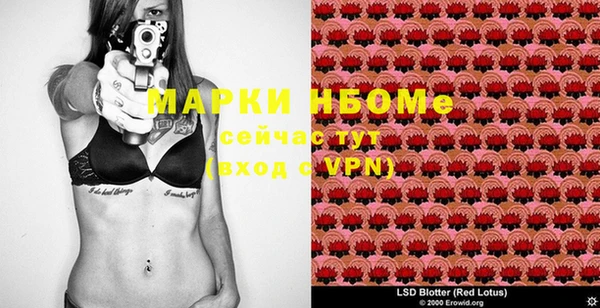 шишки Аркадак