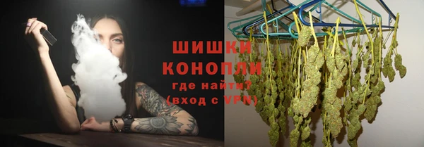 прущие грибы Арсеньев