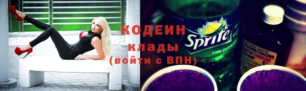 шишки Аркадак