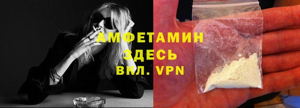 шишки Аркадак