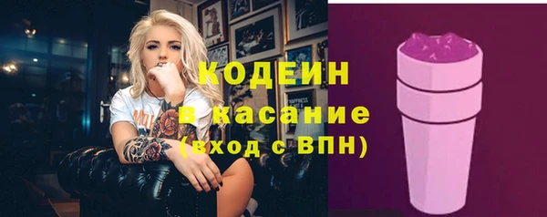 шишки Аркадак