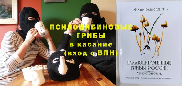 шишки Аркадак